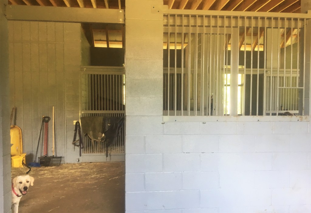 Kylie Barrows Eventing Horse Barn Chapel Hill