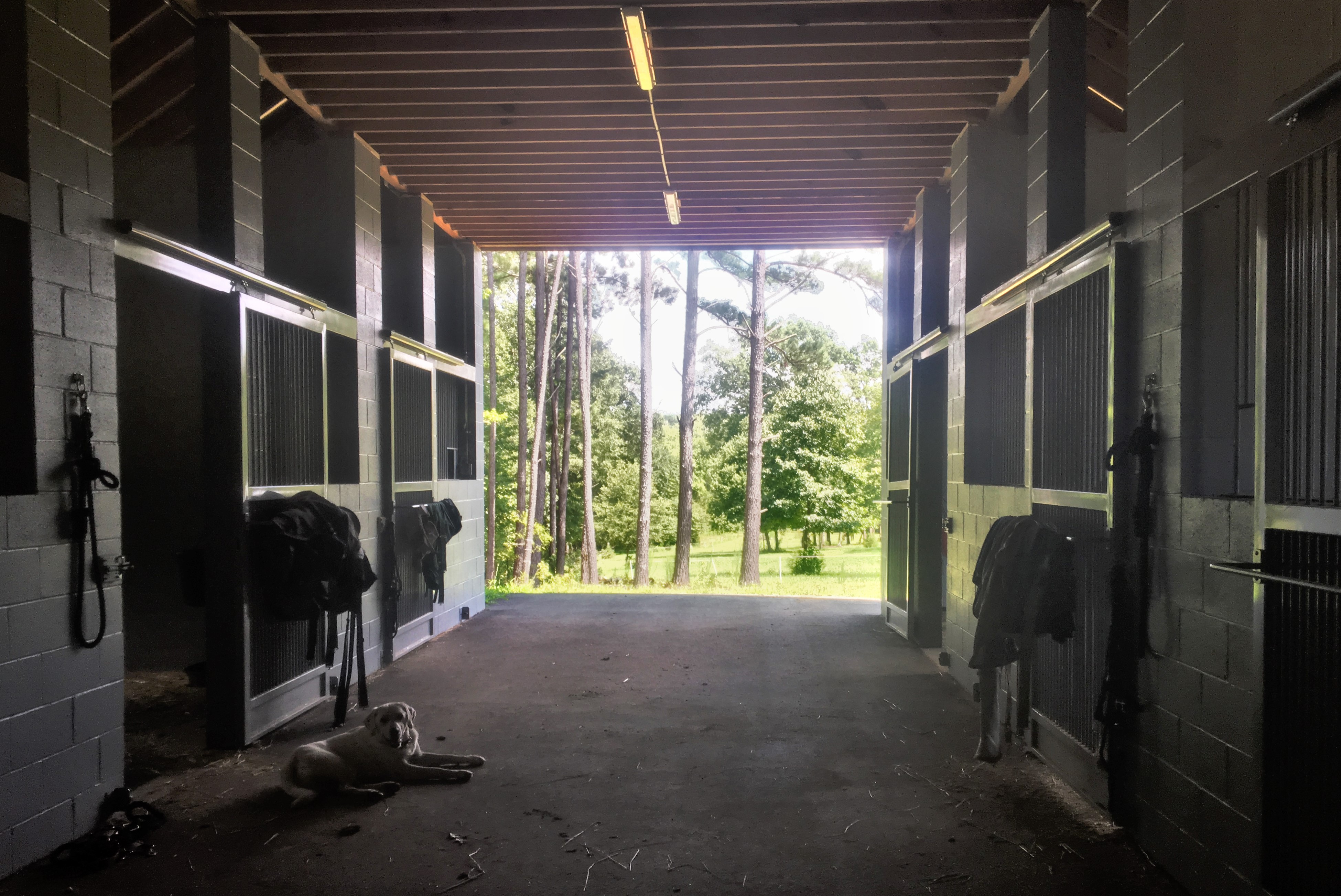 Kylie Barrows Eventing Barn Chapel Hill