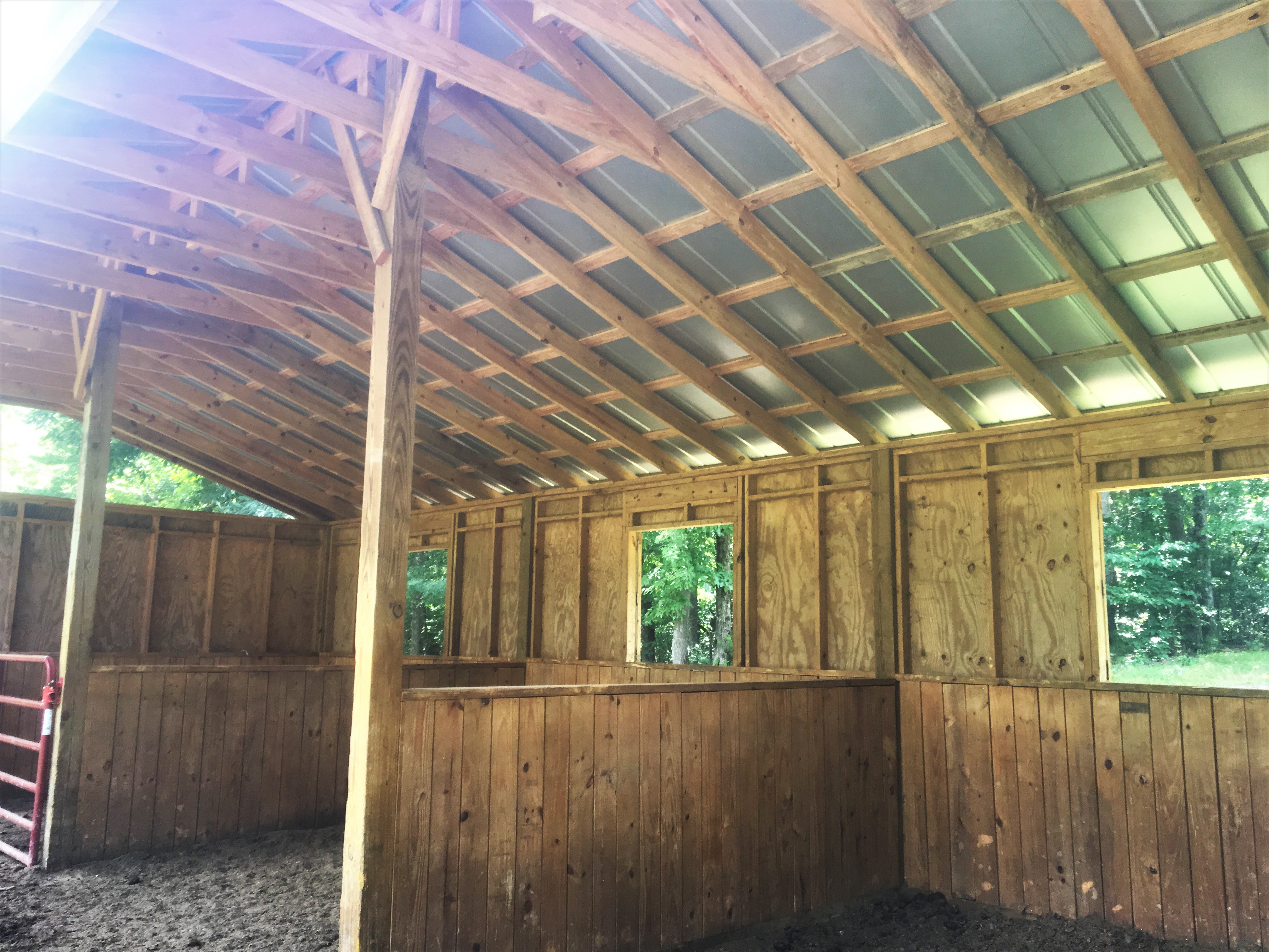 Kylie Barrows Eventing Chapel Hill